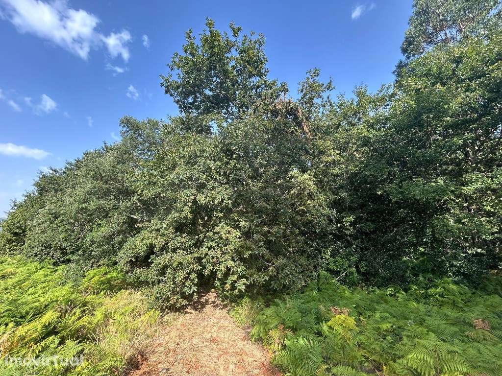 Terreno de construção em Agualonga - Grande imagem: 4/6