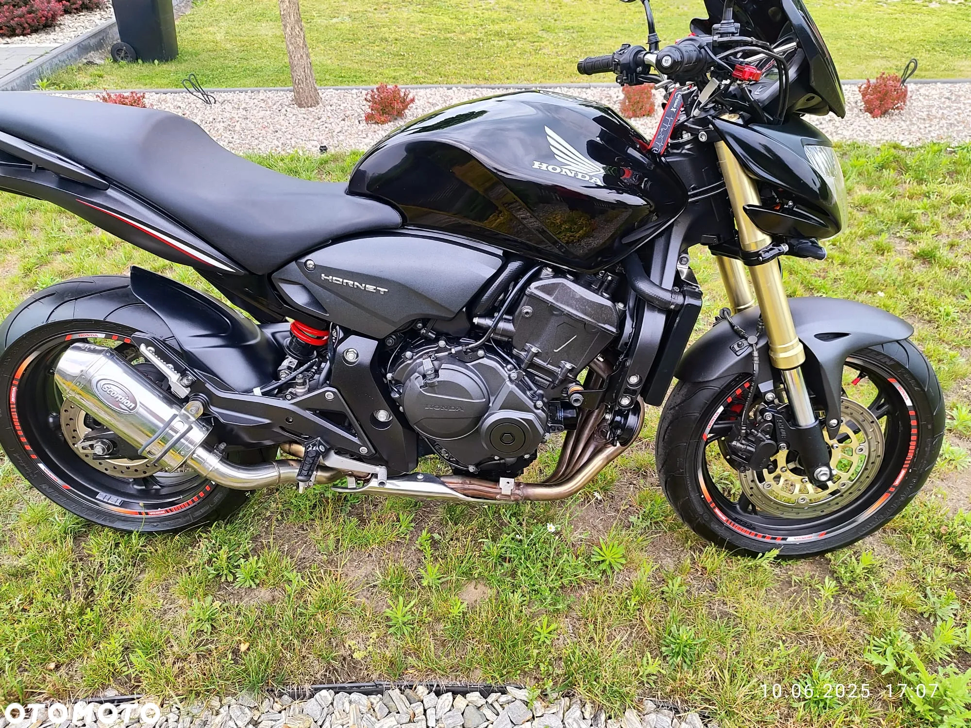 Honda Hornet - 5