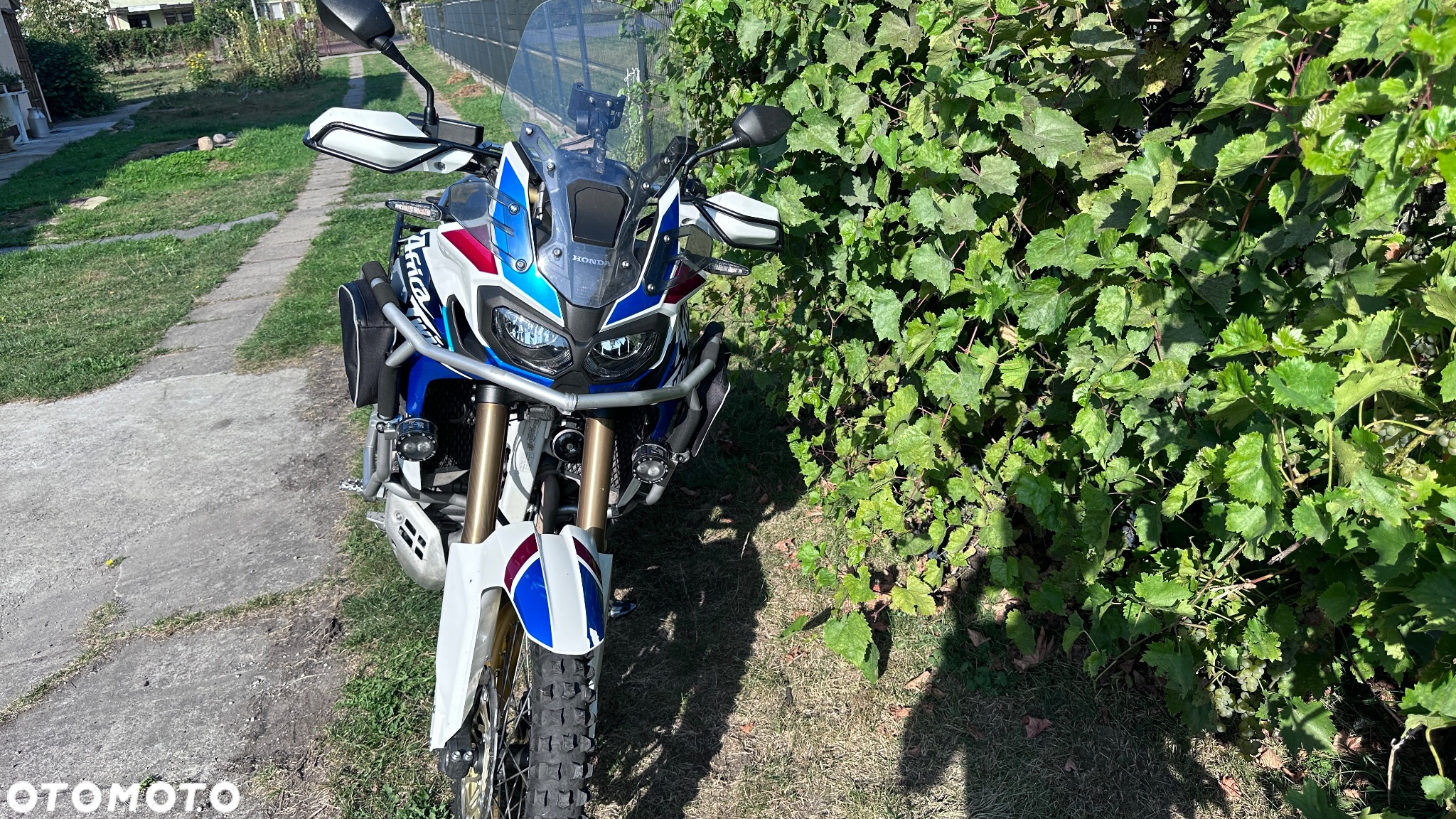 Honda CRF