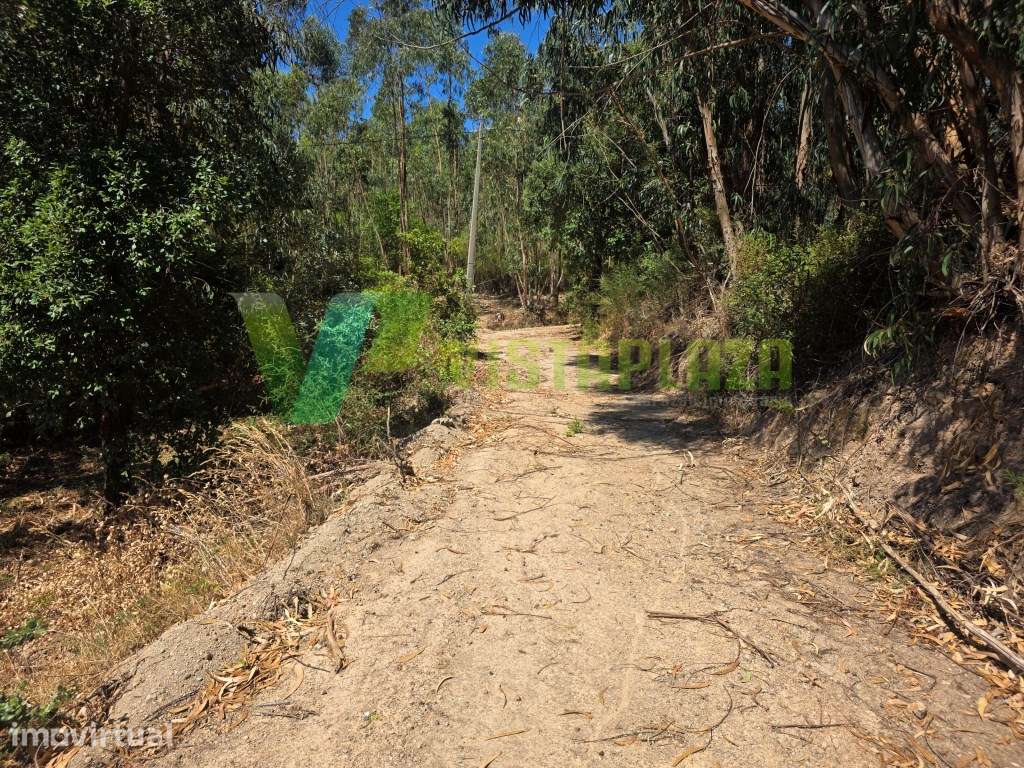 Terreno Misto, com Ruína, Monchique, Algarve - Grande imagem: 4/17