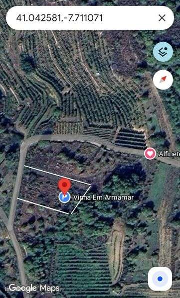 Vinha em Armamar - Grande imagem: 2/3