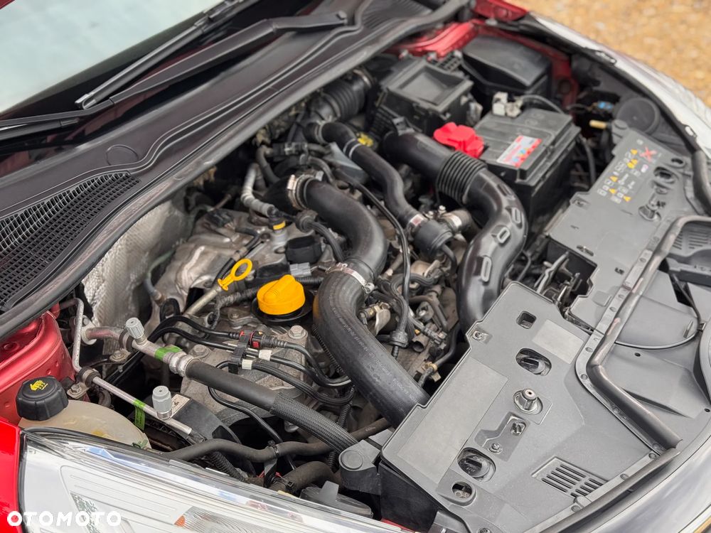 Renault Clio - 33