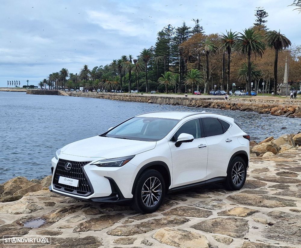 Lexus NX 450h+ - 10