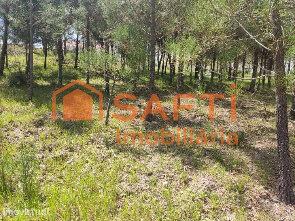 Terreno urbano em Casal de Cinza - Grande imagem: 2/20