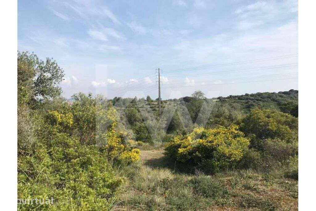 5 Terrenos Total 43.000 m2 em Alcolombal - Terrugem Sintra - Grande imagem: 4/6