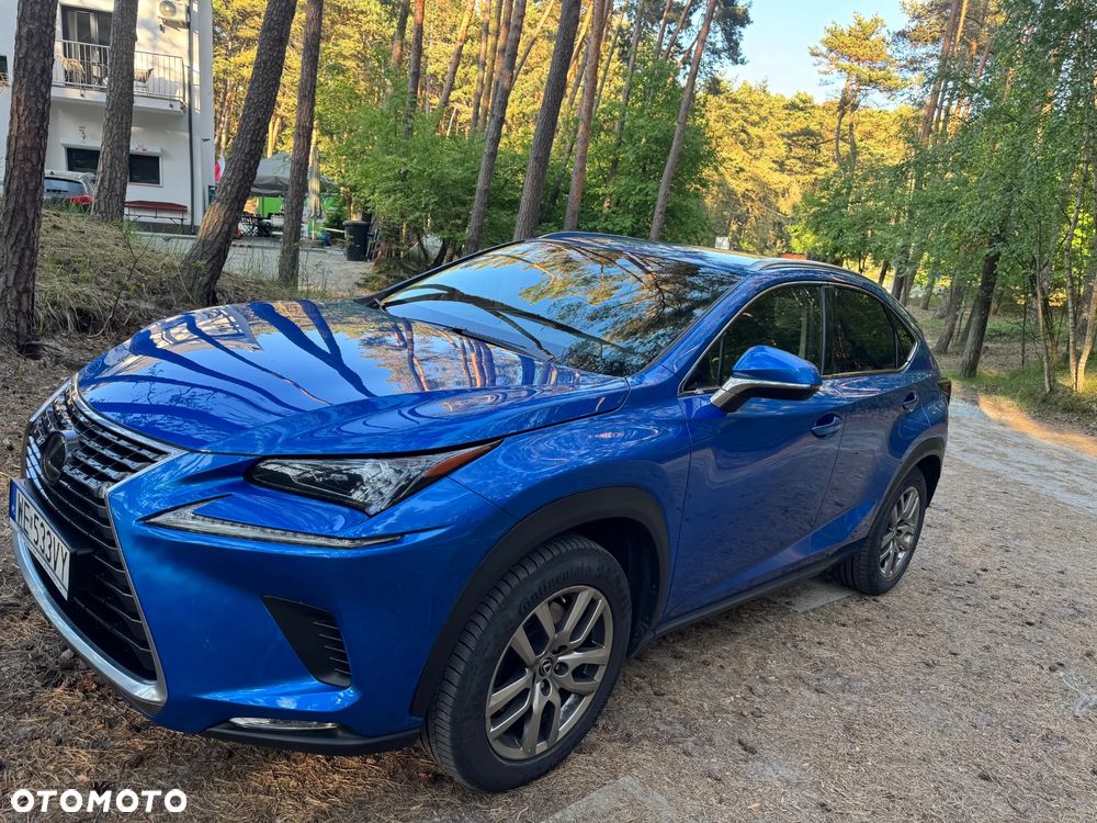 Lexus NX 300 Elegance AWD - 2