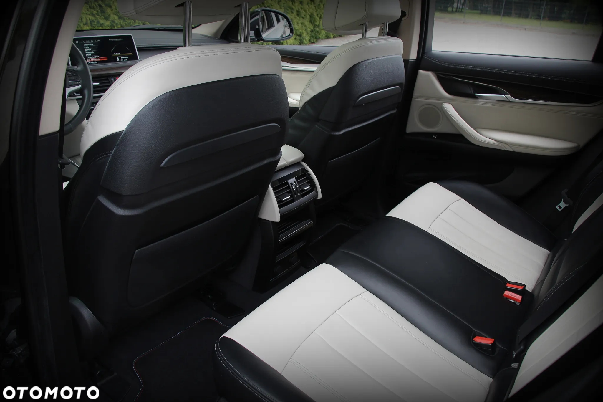 BMW X6 xDrive30d - 31