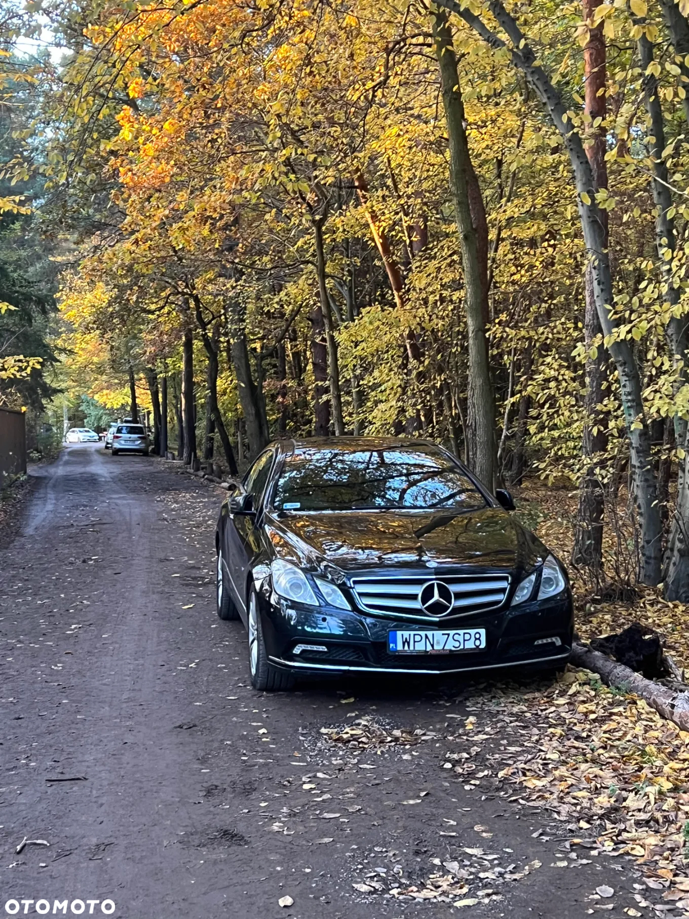 Mercedes-Benz Klasa E 350 CDI BlueEff - 2