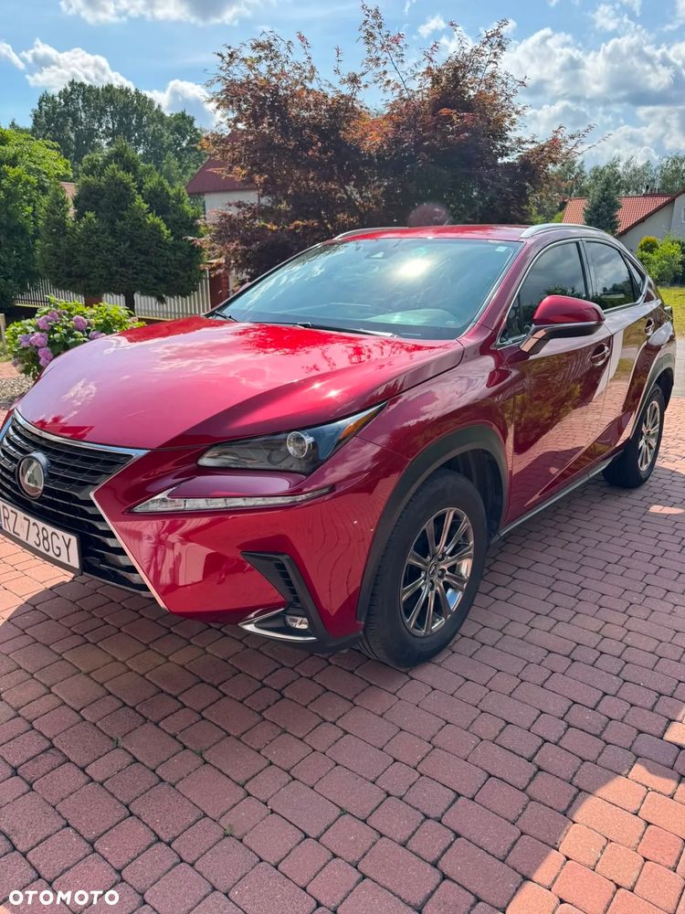 Lexus NX 300 AWD - 8