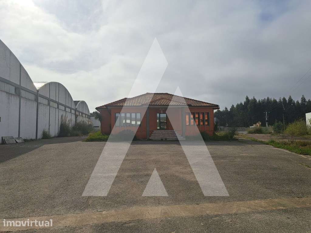 Armazém na Zona Industrial do Casarão em Águeda, com 12.404 m2 lice... - Grande imagem: 4/14