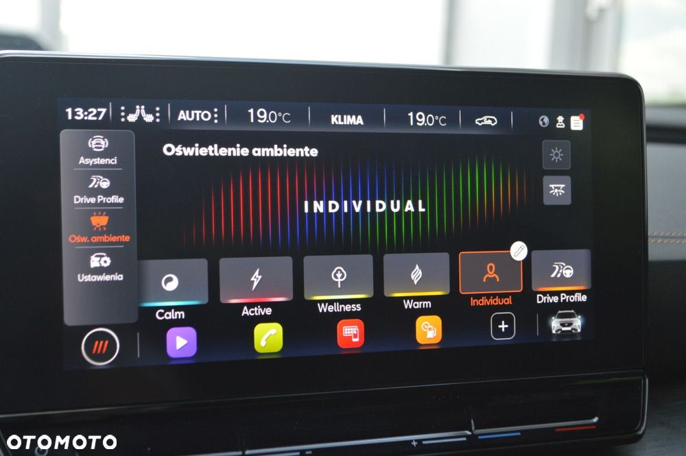 Cupra Formentor 1.5 TSI DSG - 22