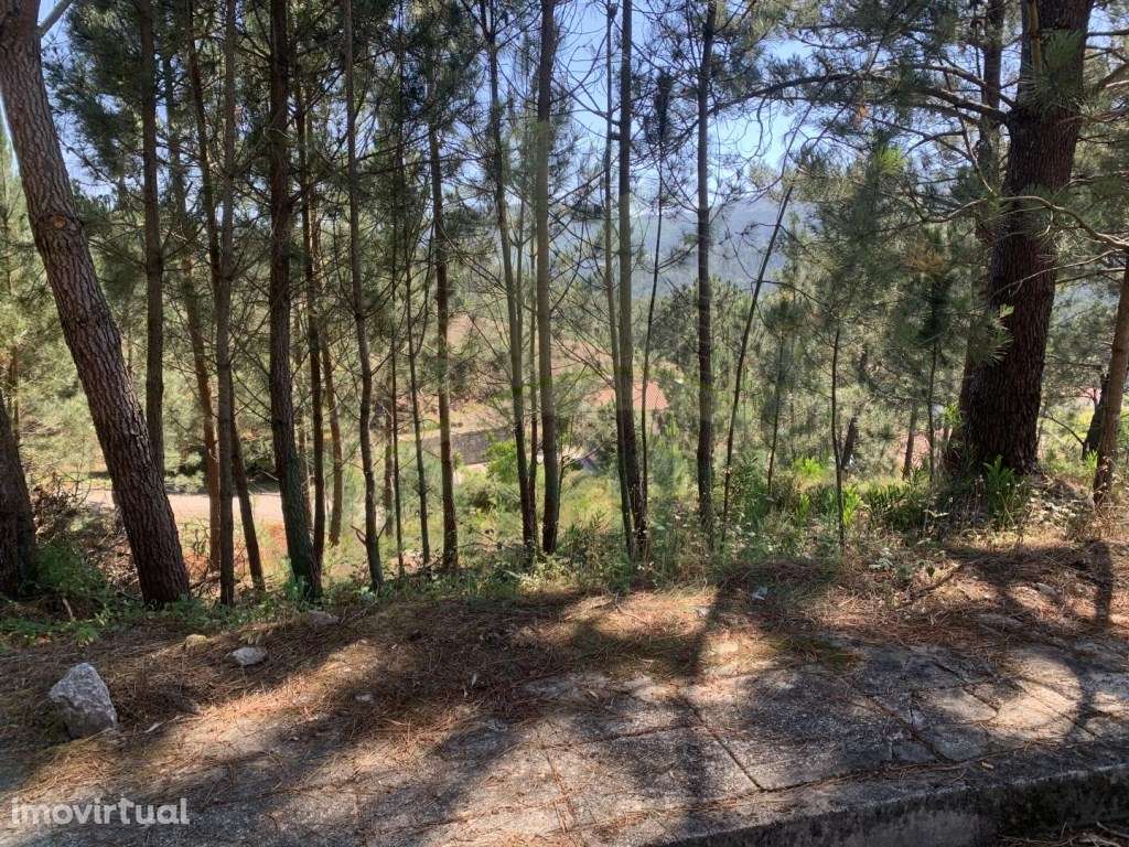 Lote de Terreno para Construção - Grande imagem: 2/10