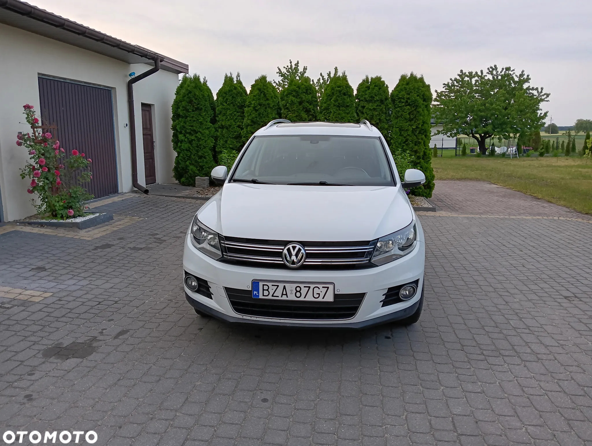 Volkswagen Tiguan - 5