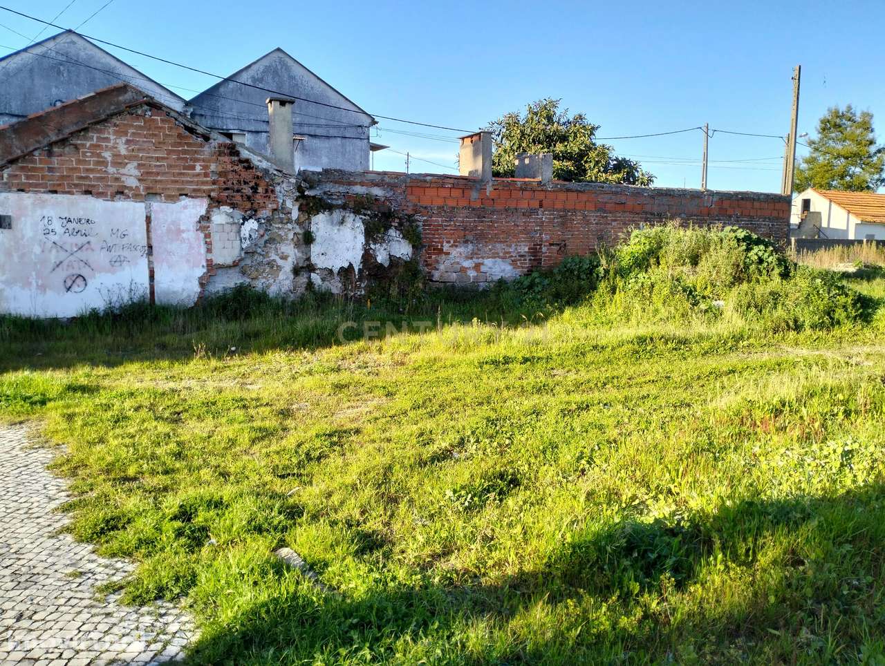 Terreno Construção || Marinha Grande - Grande imagem: 5/7