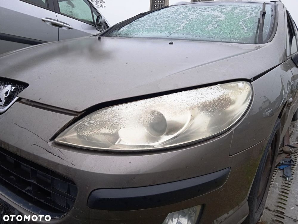 Lampy przód Peugeot 407 - 1