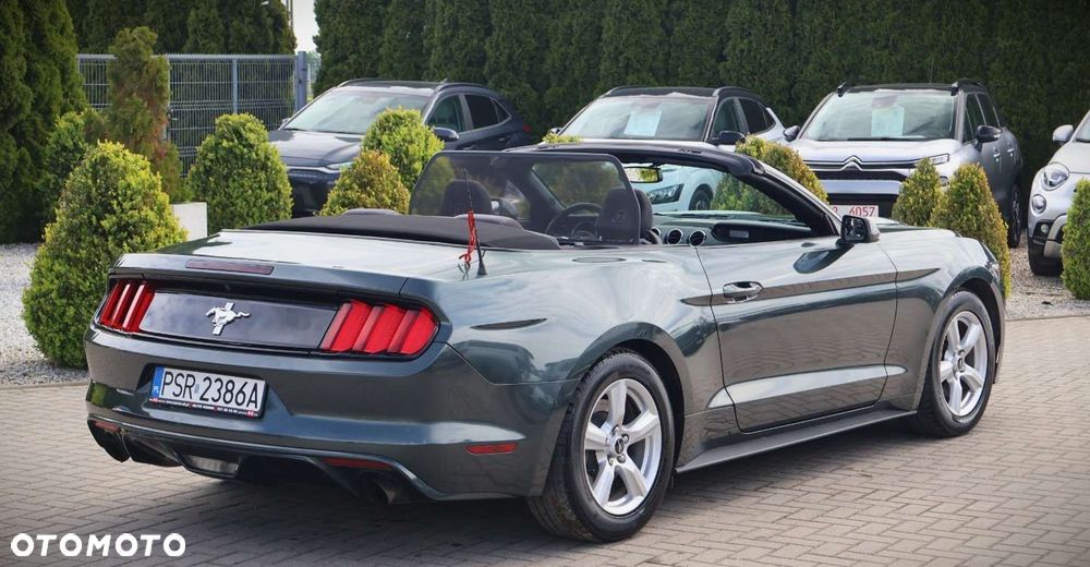 Ford Mustang - 16