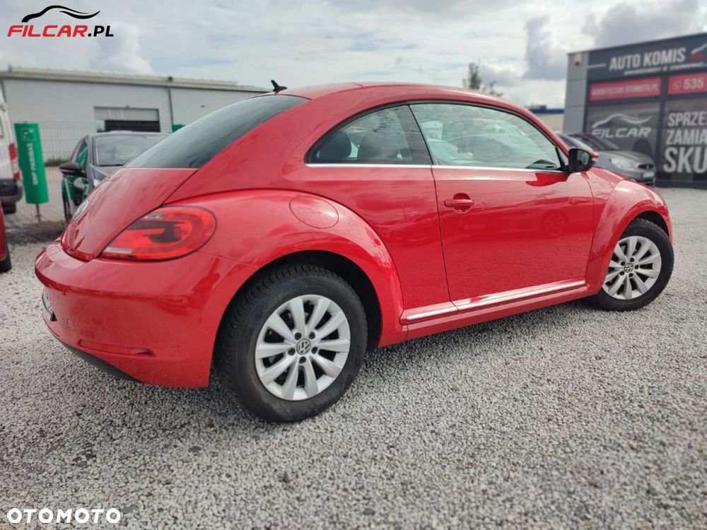 Volkswagen Beetle - 17