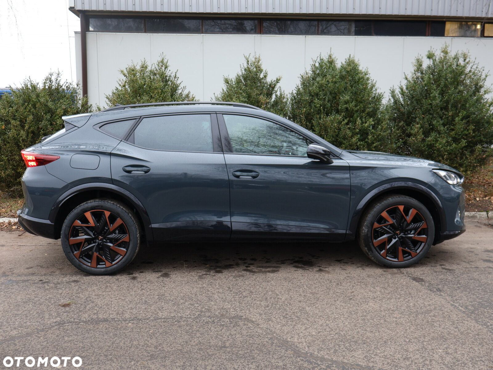 Cupra Formentor 1.5 eTSI mHEV DSG - 14