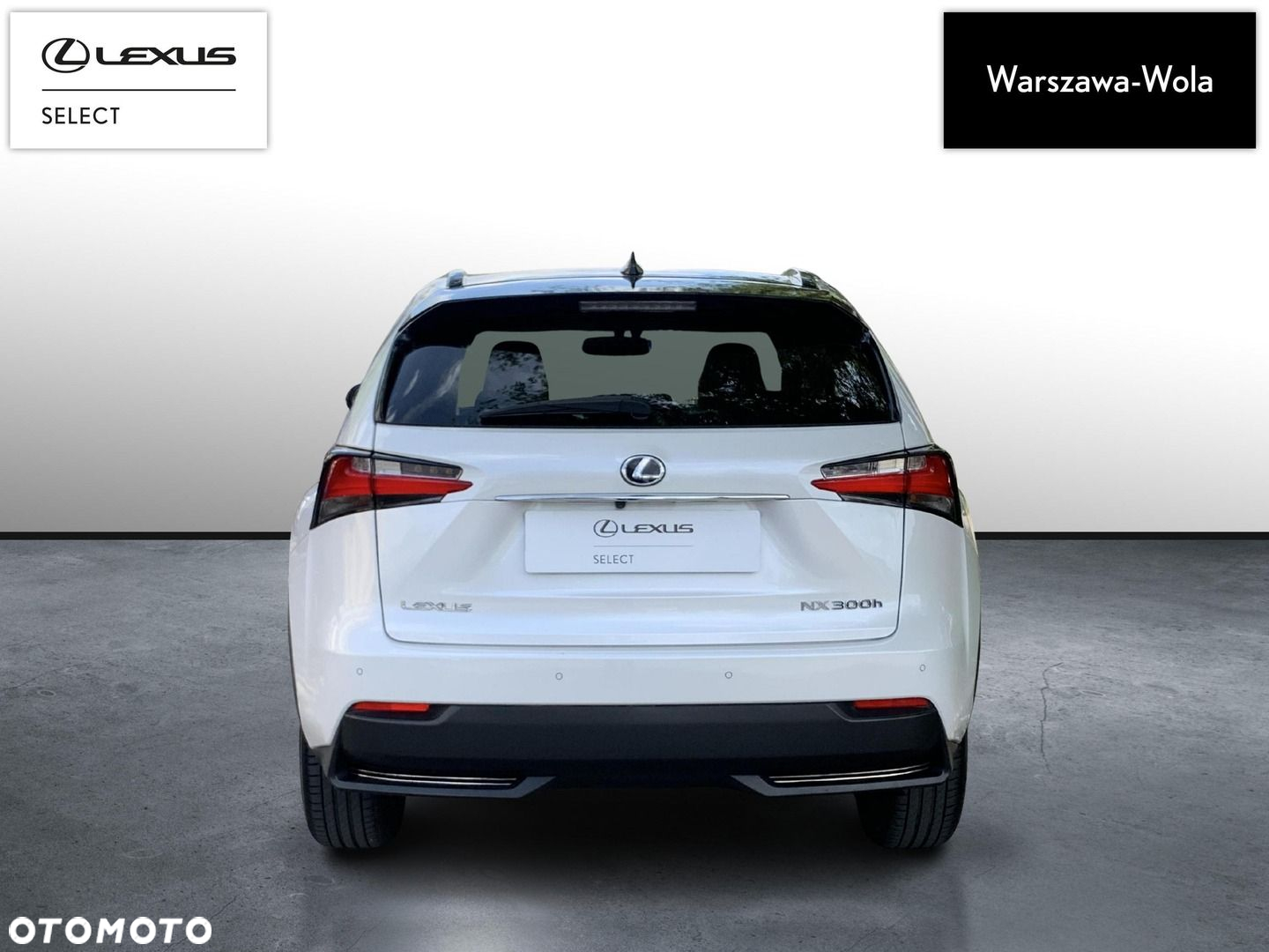 Lexus NX - 6