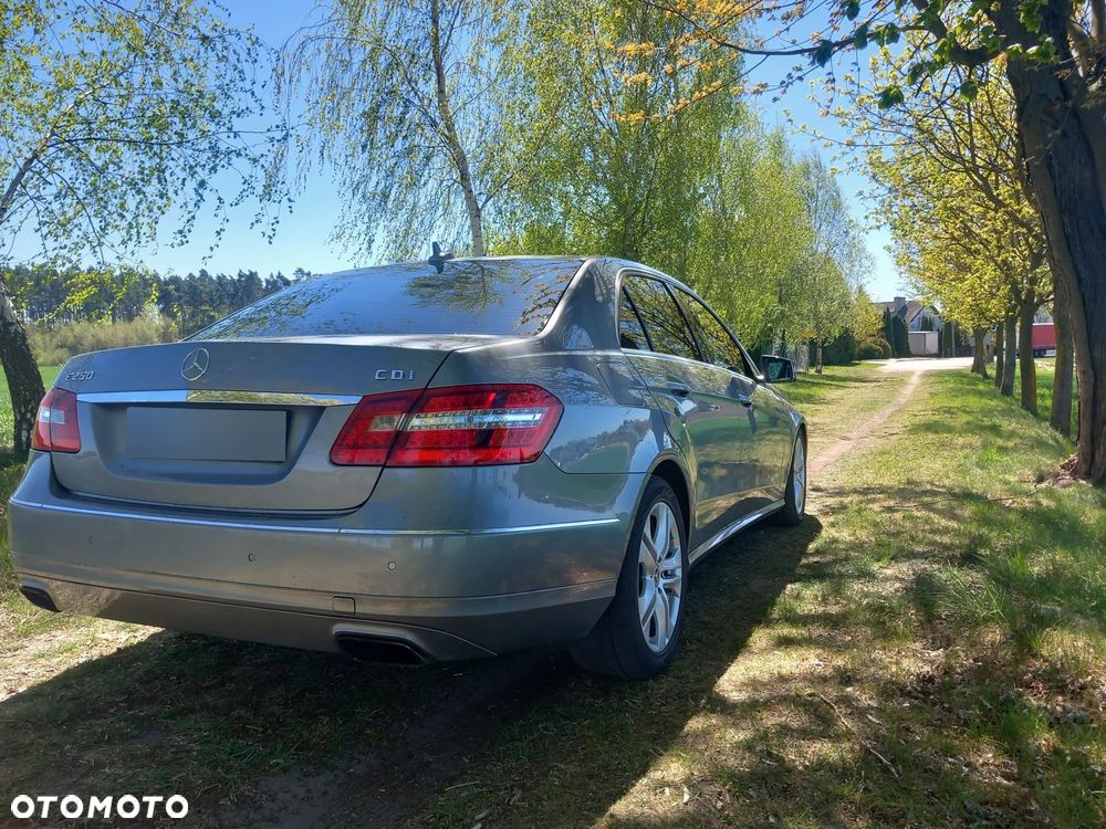 Mercedes-Benz Klasa E 250 CDI 4-Matic BlueEff Avantgarde - 31