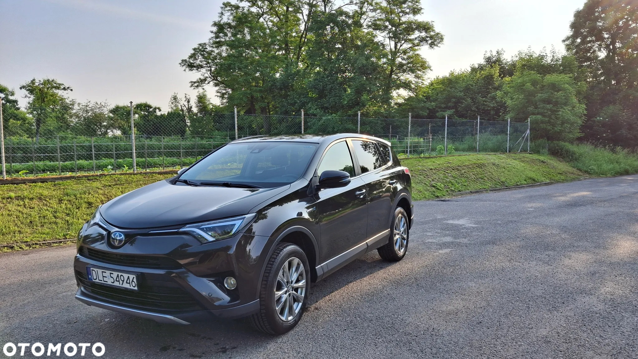 Toyota RAV4 Hybrid Gold 4x2 - 3