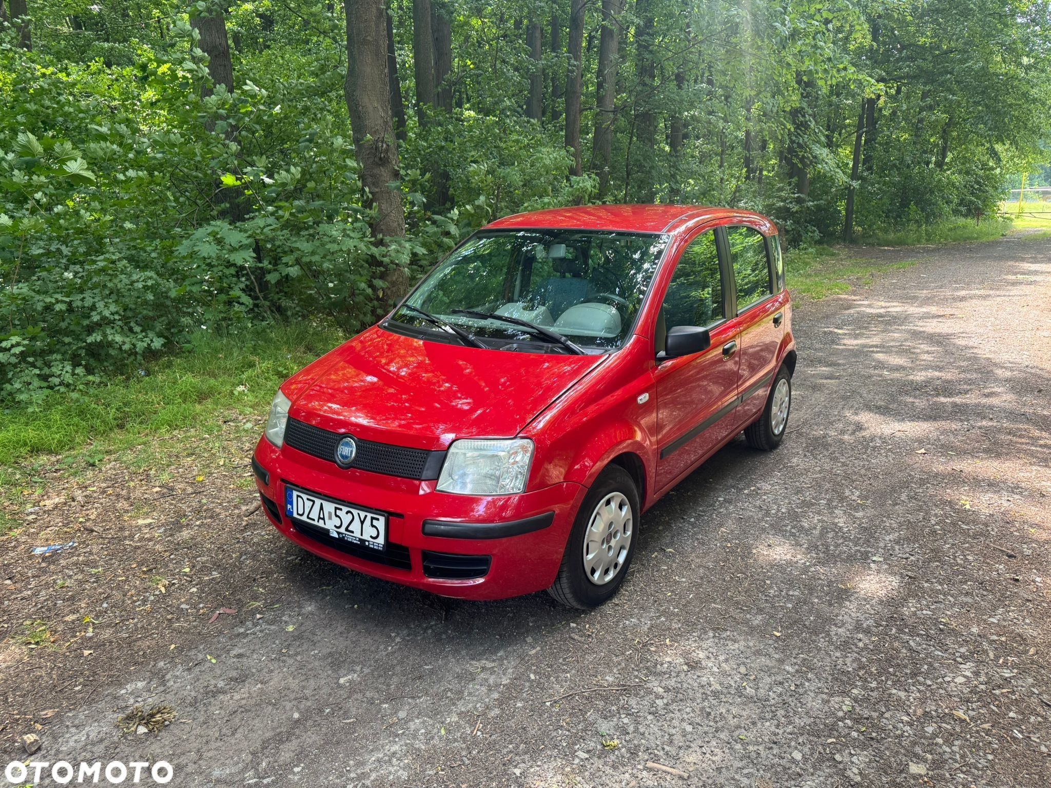 Fiat Panda - 1
