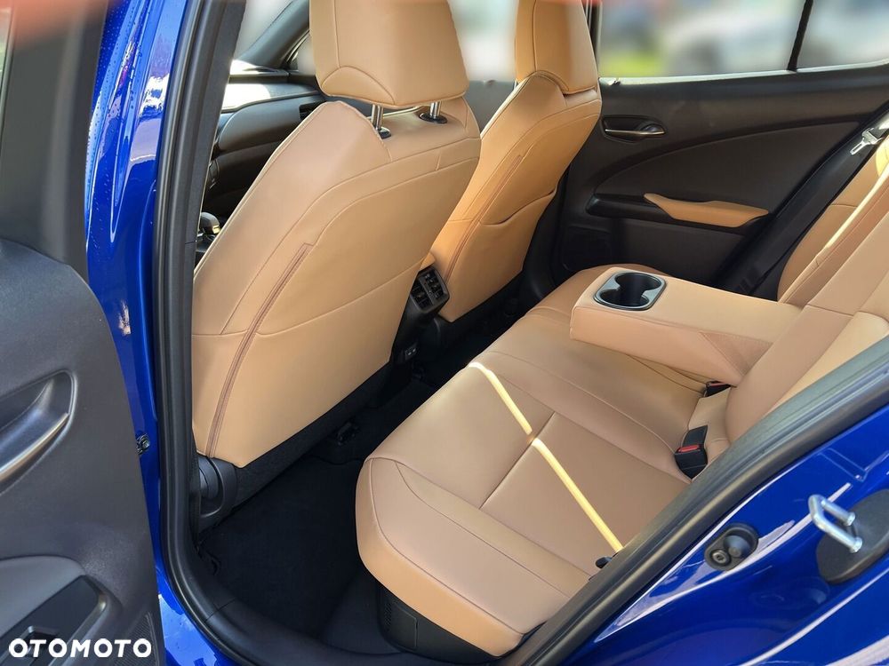 Lexus UX 300h F Sport Design - 19
