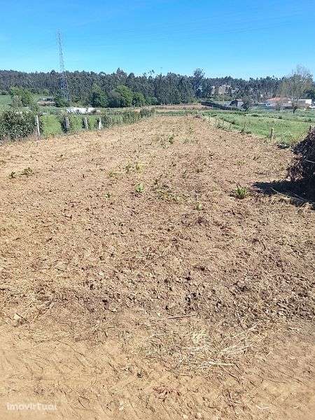 Alugo terreno bom - Grande imagem: 4/12