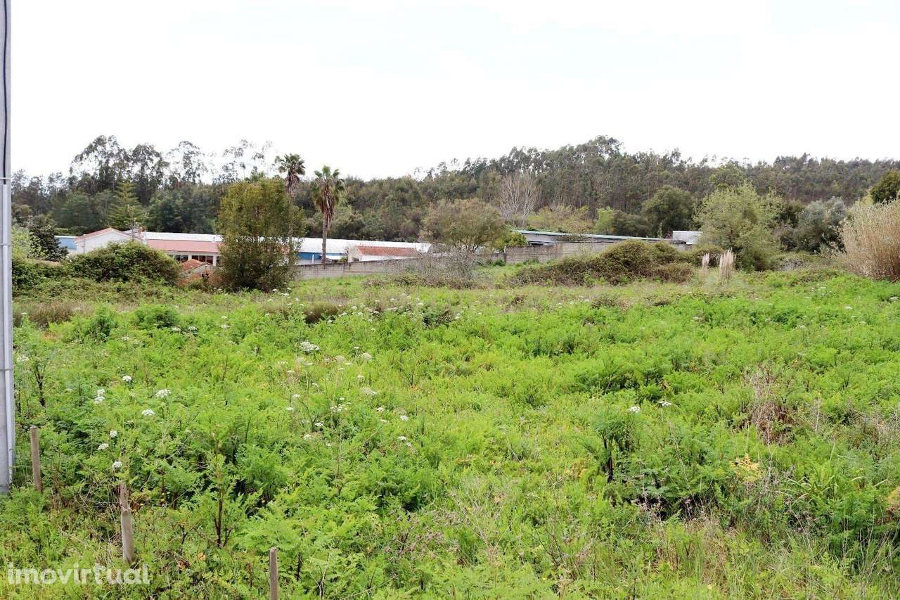 Terreno Rústico em Antanhol, Coimbra – 3.500m² com Árvores de Fruto e  - Grande imagem: 4/8