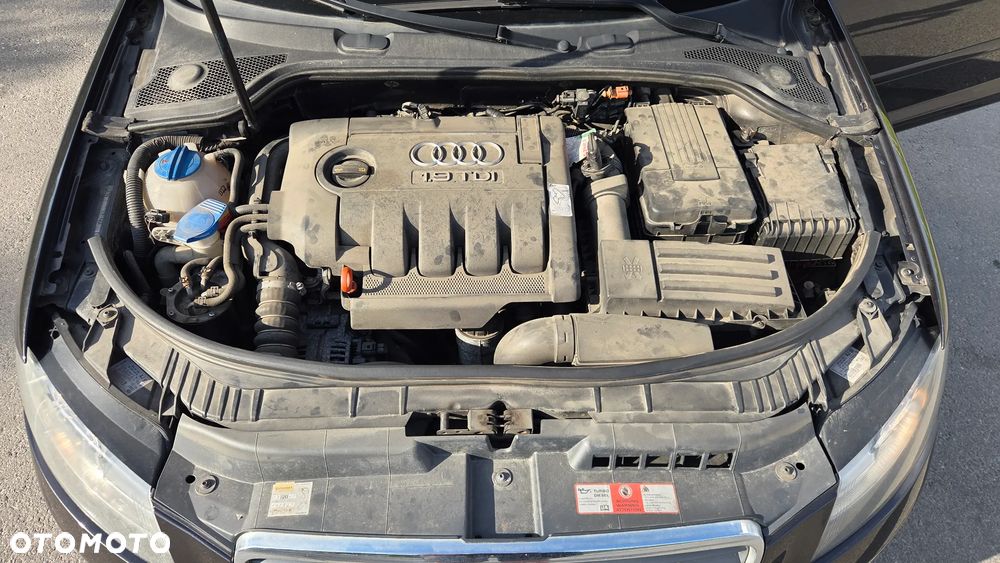 Audi A3 Sportback 1.9 TDI DPF Ambition - 13