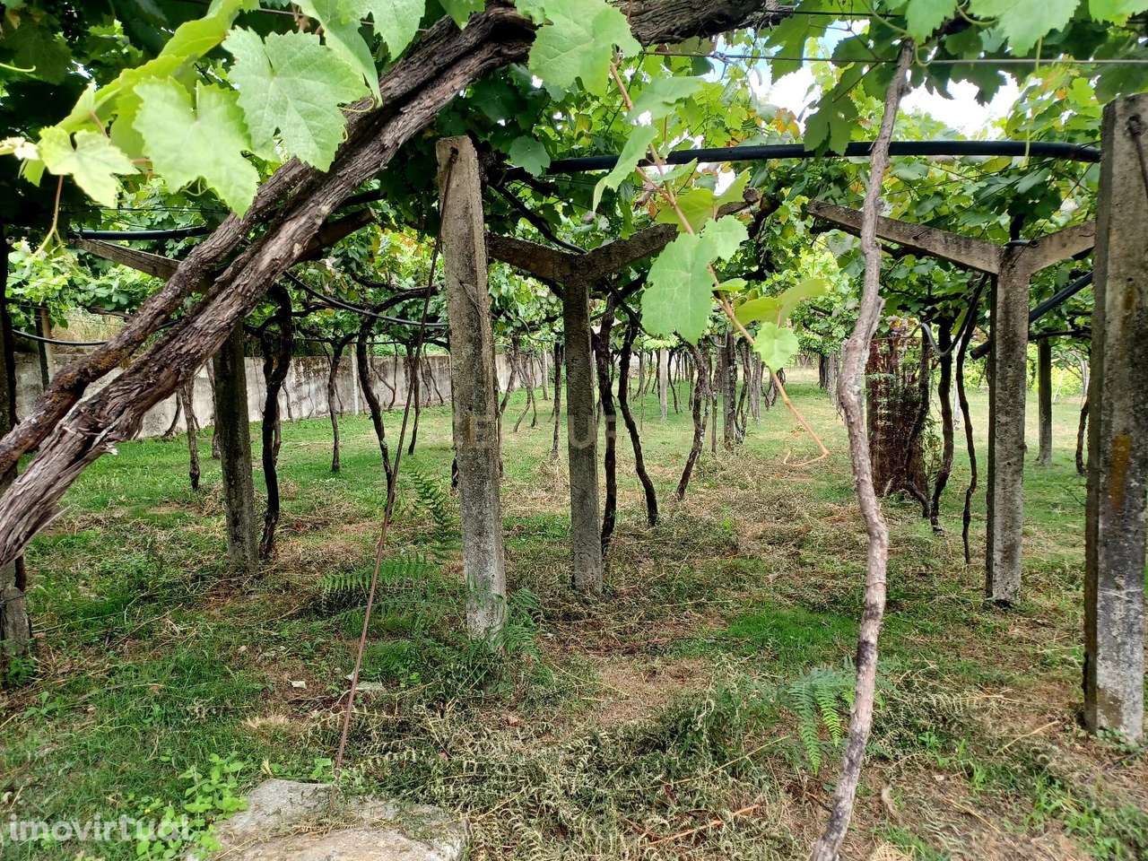 Terreno com 3.662 m² em Sande, Marco de Canaveses - Grande imagem: 4/14