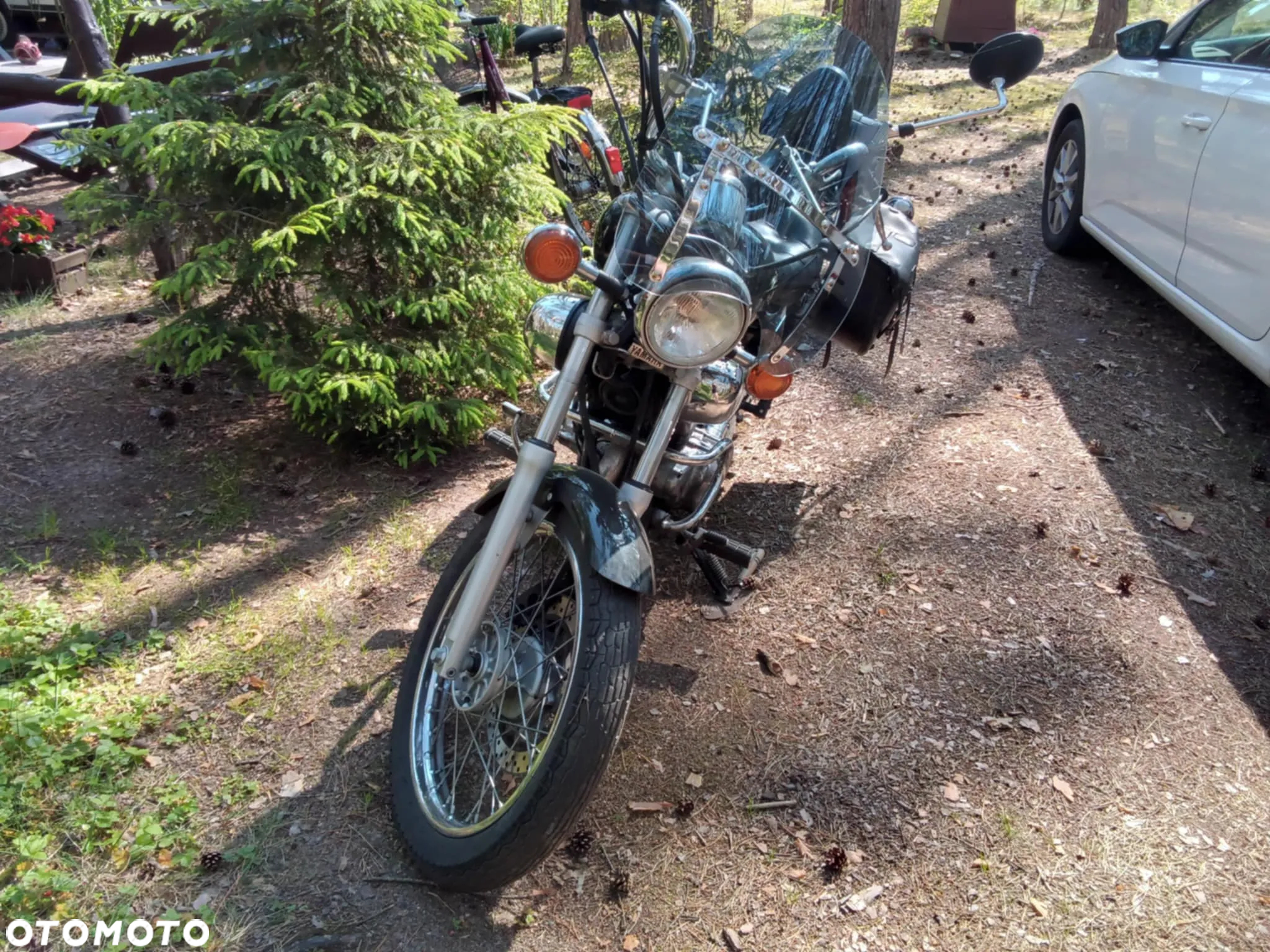 Yamaha Virago - 5