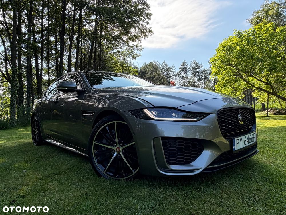 Jaguar XE P250 R-Dynamic S - 6
