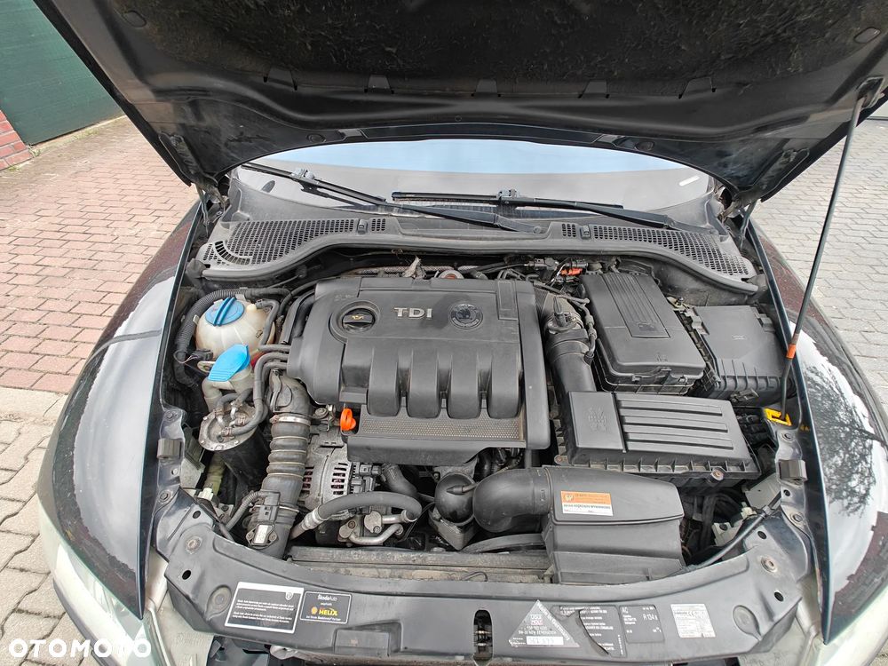 Skoda Octavia Scout 2.0 TDI DPF - 12