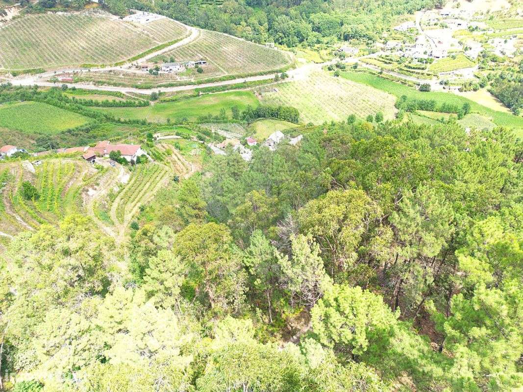 Terreno  para venda - Grande imagem: 4/5