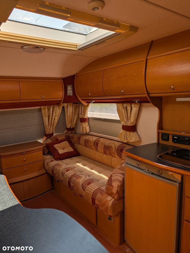 Avondale Golden Avocet - 18