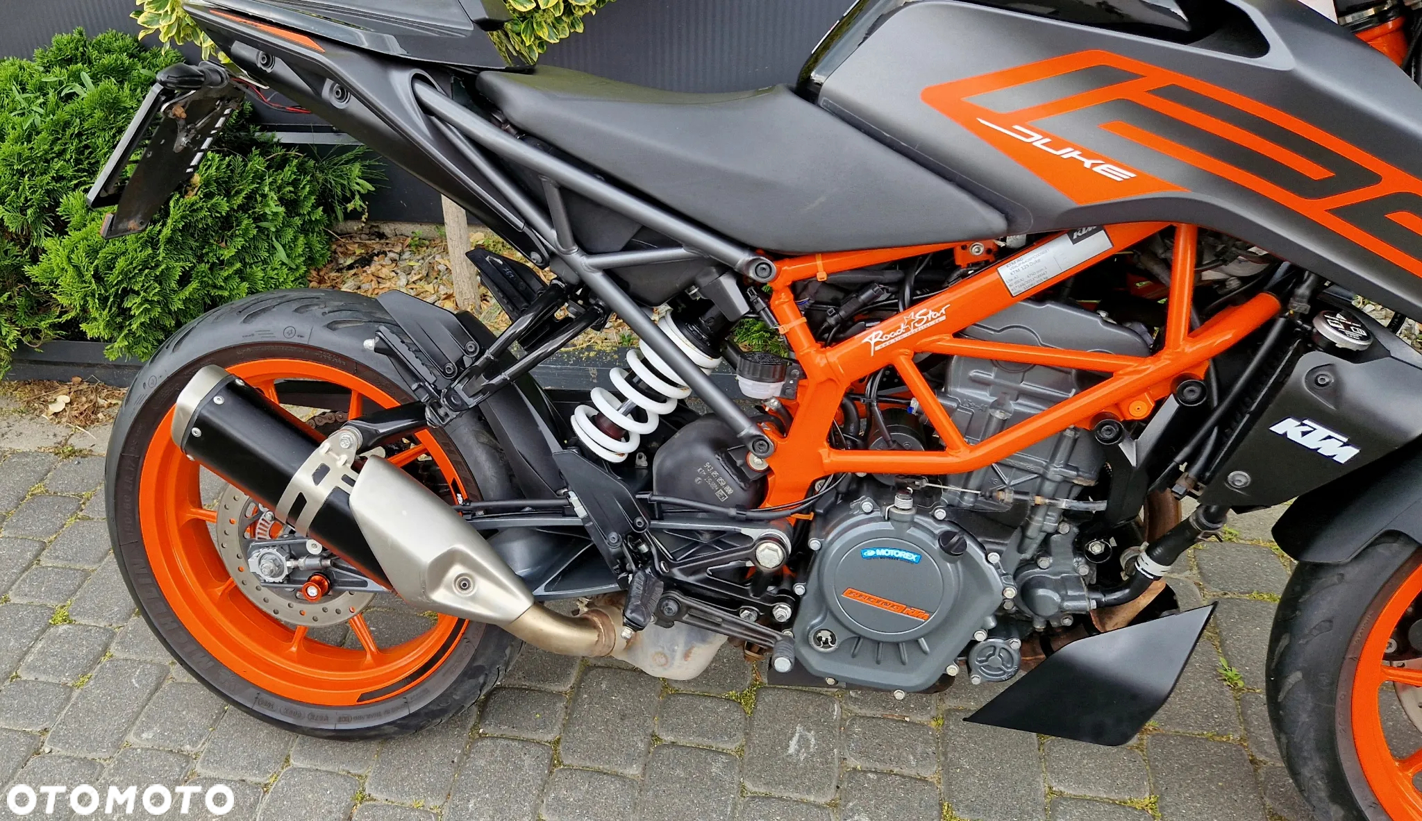 KTM Duke - 19