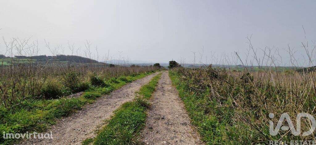 Terreno Agrícola em Mafra - Grande imagem: 2/21