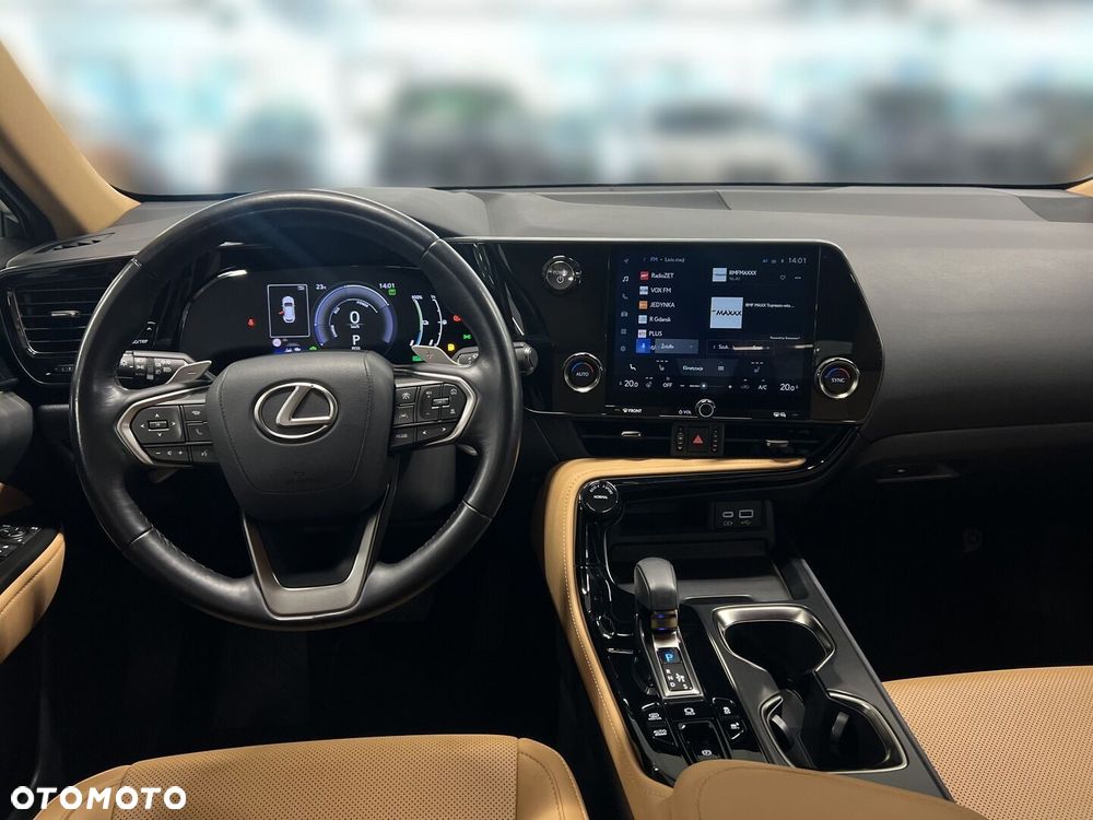 Lexus NX - 19