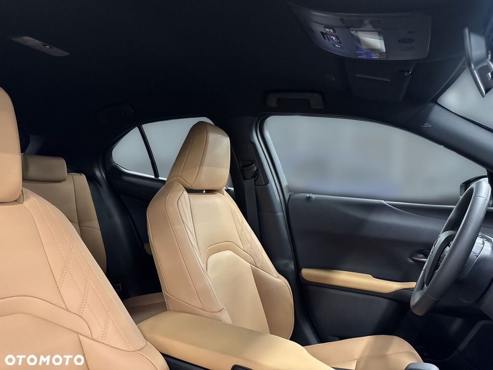 Lexus UX 300h F Sport Design - 29