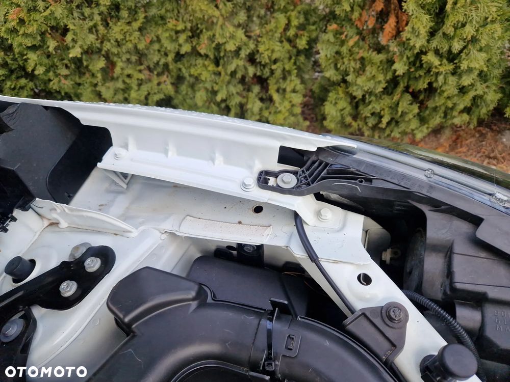 Renault Kadjar BLUE dCi 115 BUSINESS EDITION - 20