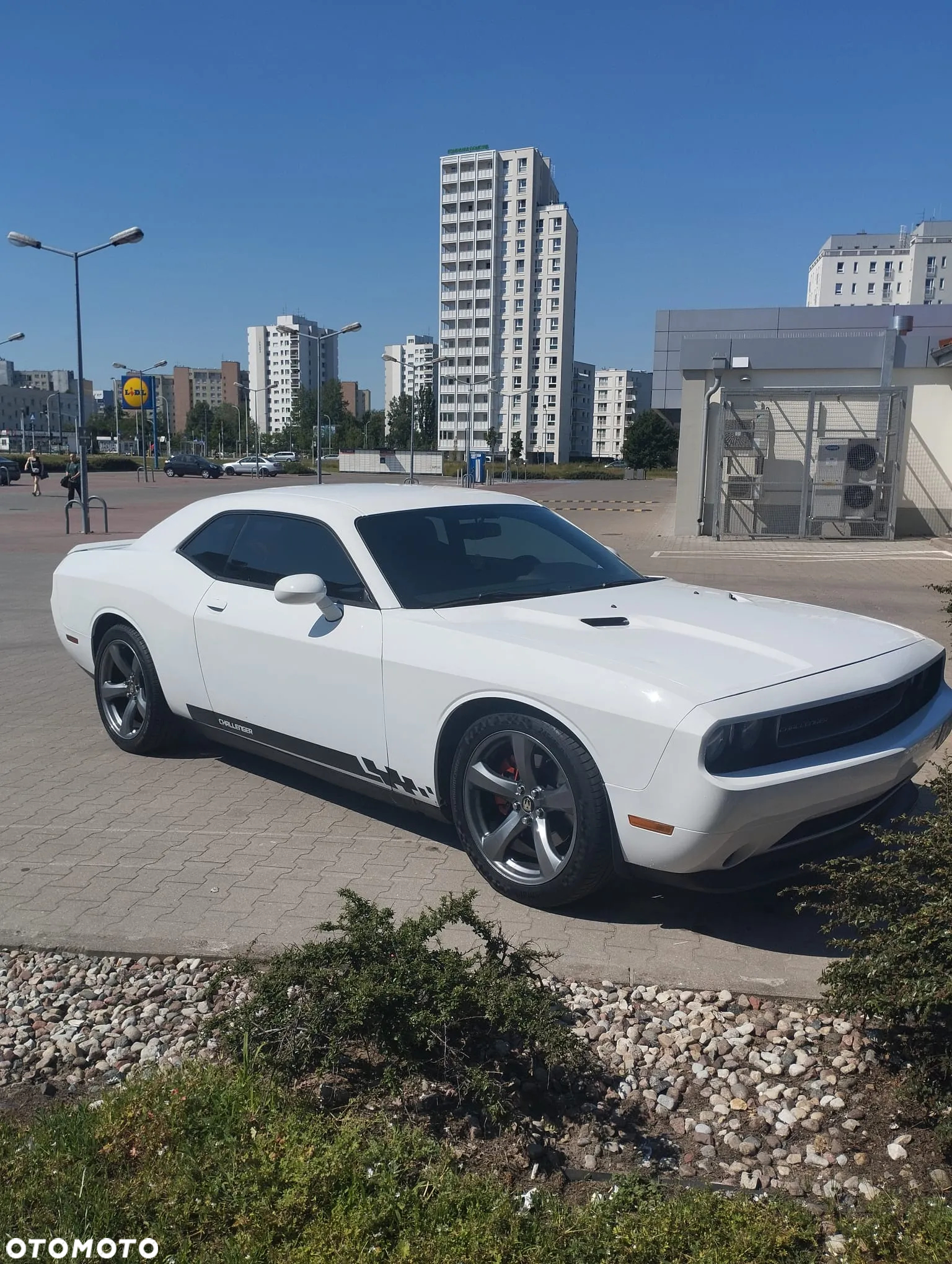 Dodge Challenger Automatik SXT Plus - 7
