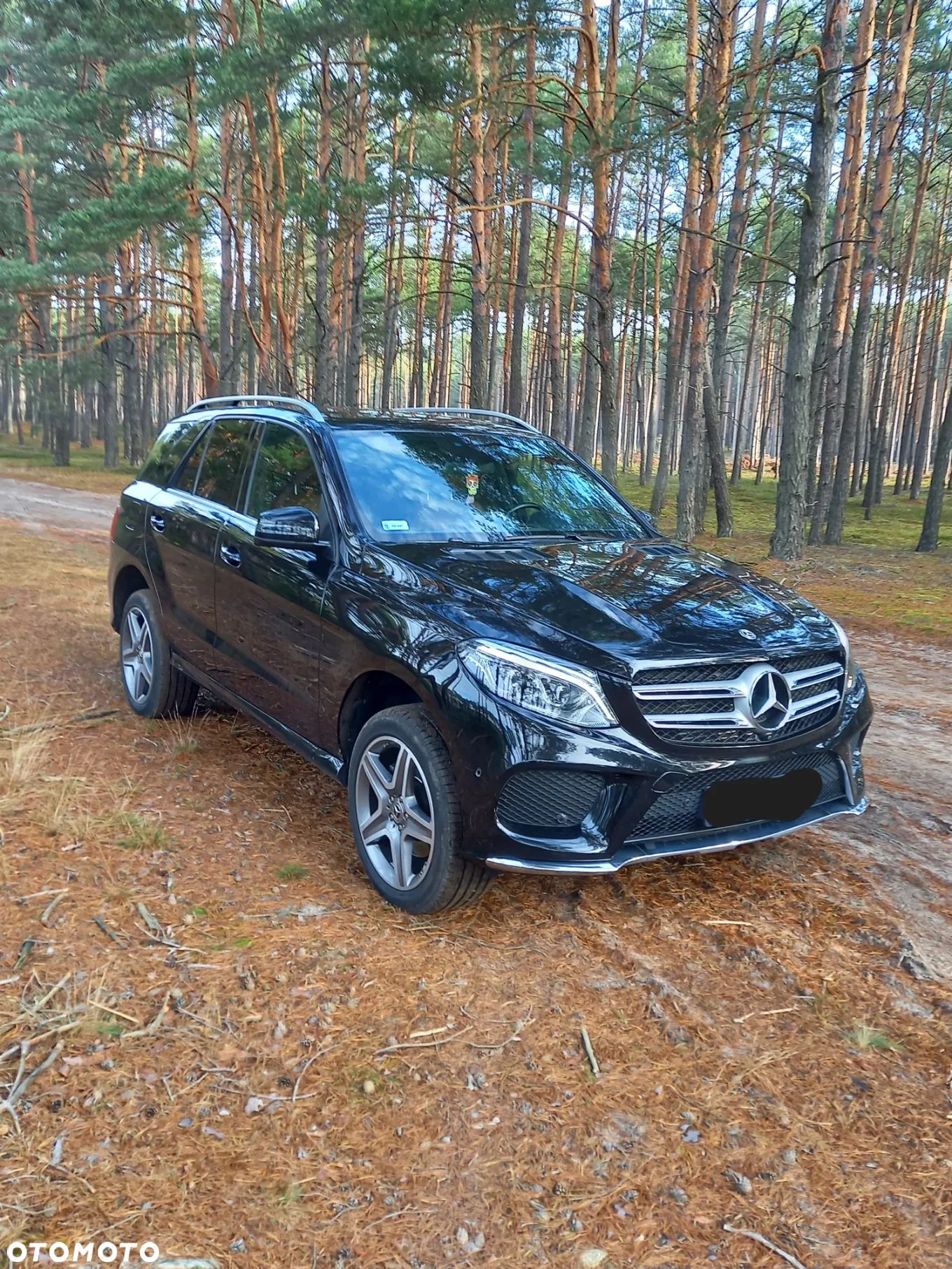 Mercedes-Benz GLE 350 d 4-Matic - 1