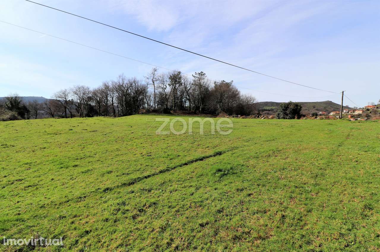 Terreno em casais de vide - Aboim da - Vila Verde - Grande imagem: 4/8