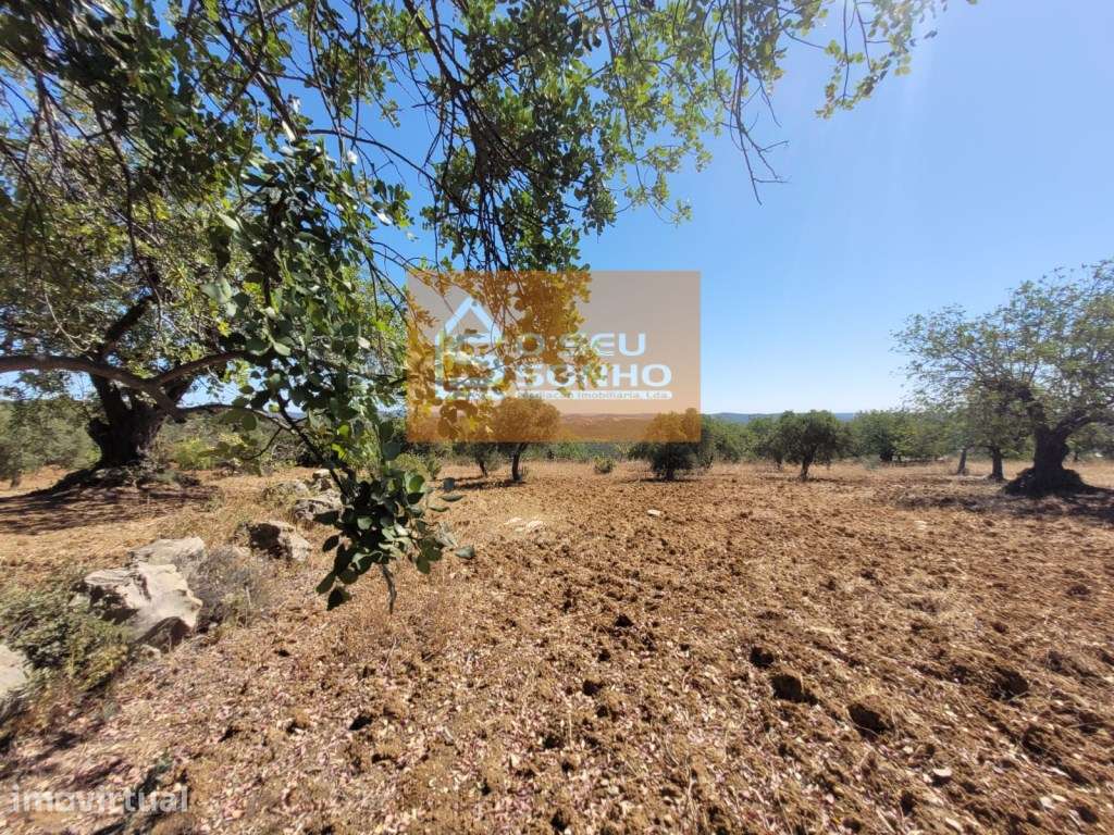 Terreno Rústico - 4.800 M² - Grande imagem: 3/11