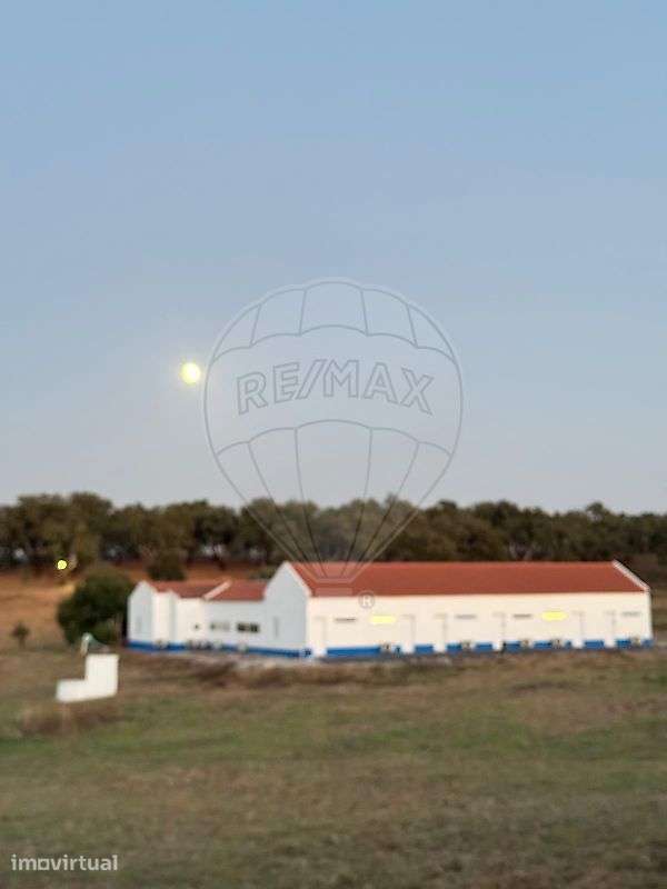 Quinta T7 para arrendamento - Grande imagem: 2/34