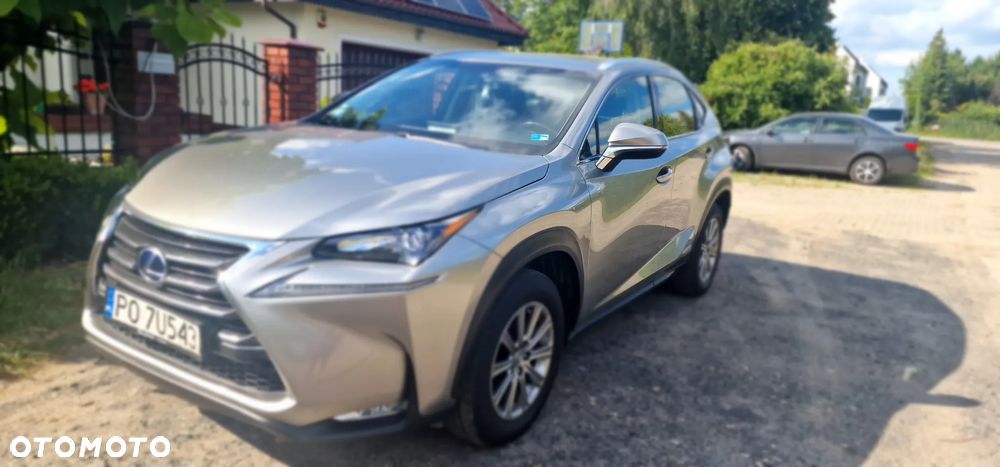 Lexus NX 300h Elite AWD - 1