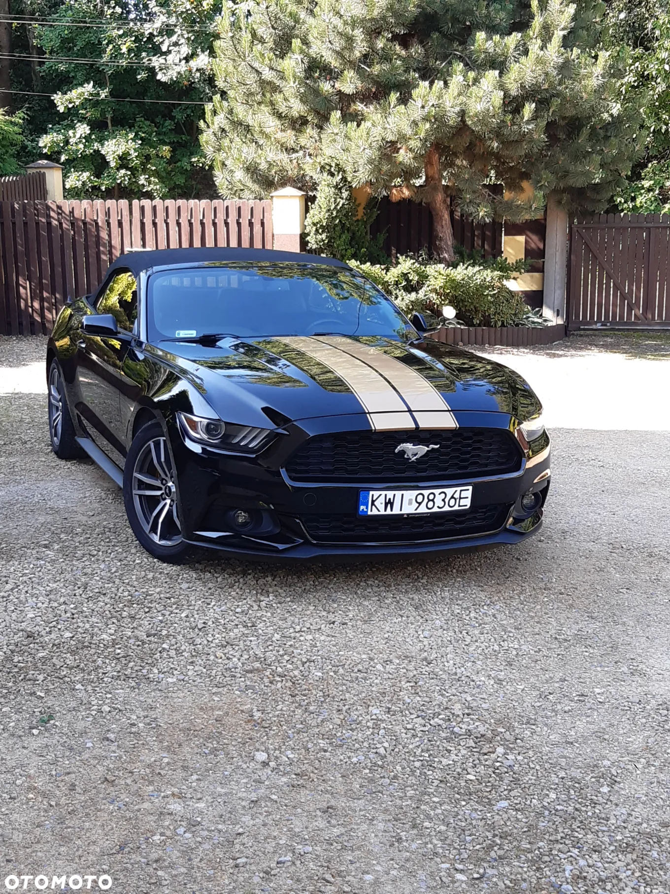 Ford Mustang Cabrio 2.3 Eco Boost - 20