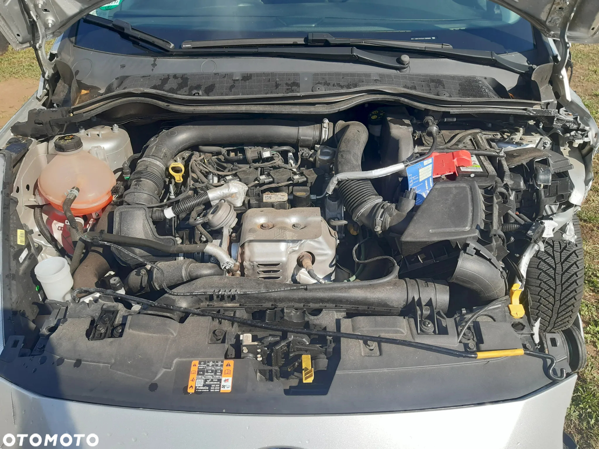 Ford Fiesta 1.0 EcoBoost Platinium X MPS6 - 7