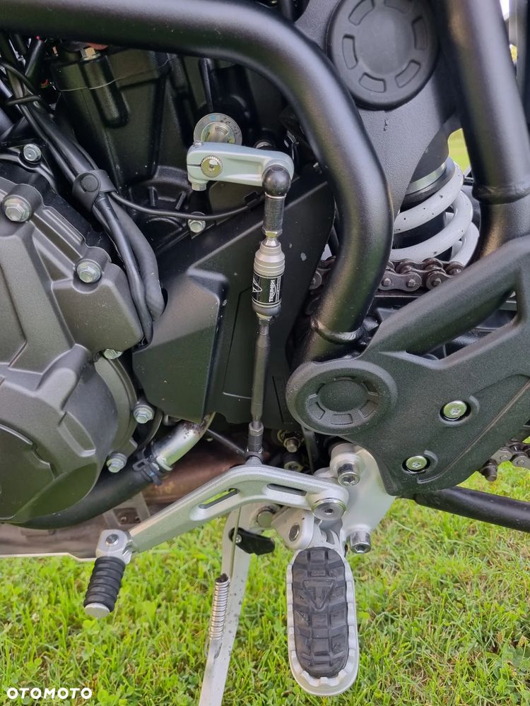 Triumph Tiger - 14
